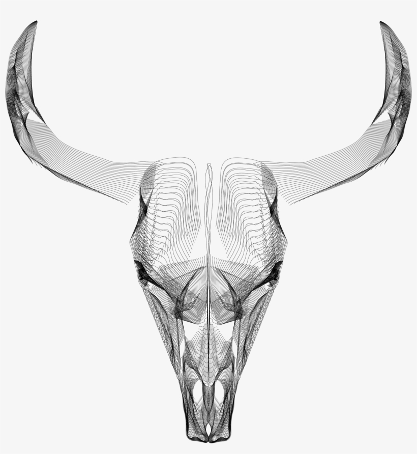 Wire-frame Skulls - Behance, transparent png