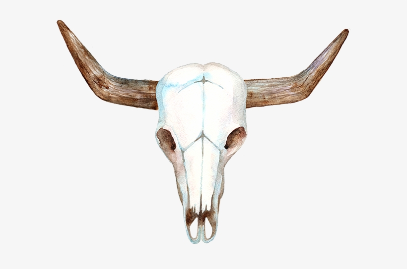 The Barn At Oak Manor - Print And Cut Cow Skull With Flowers, transparent png