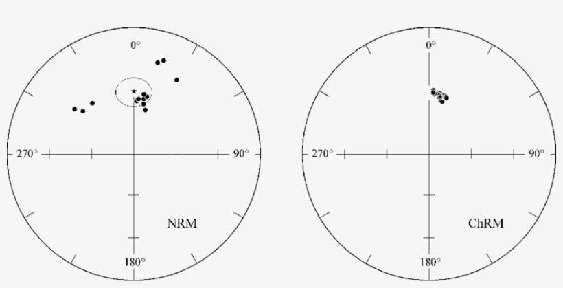 Equal-area Projection Of Nrm And Chrm Directions For - Circle, transparent png