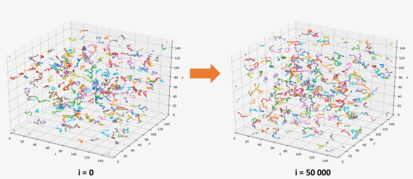 Conclude That The Lattice Model Can Be Used To Simulate - Diagram, transparent png