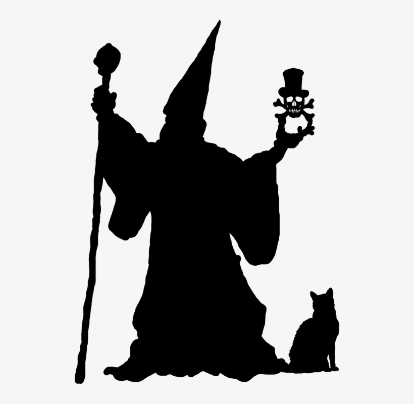 Witches And Wizards Ages 7-13 Are Invited To Join Us - Wizard Silhouette, transparent png