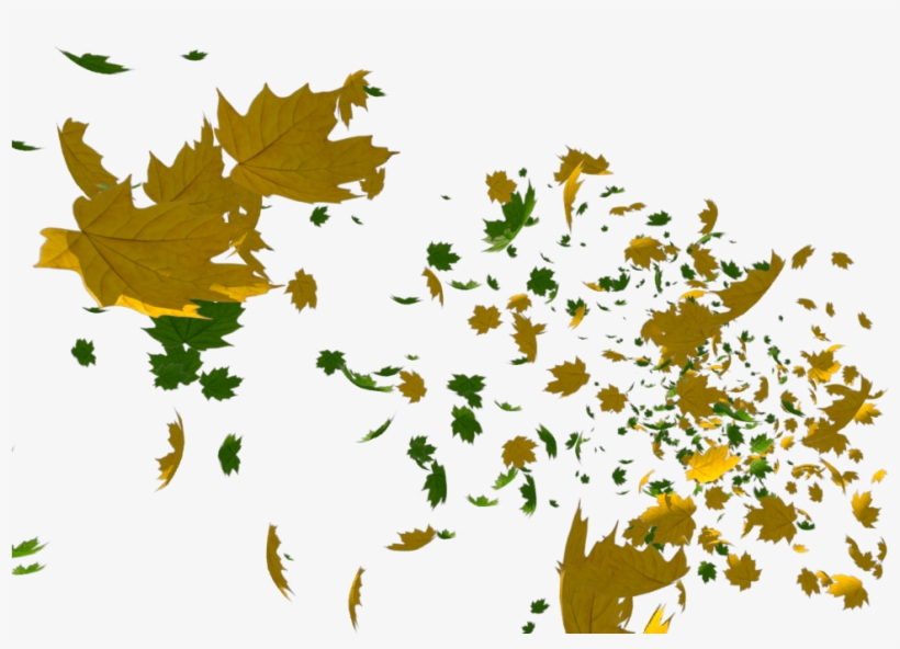Leaves Beauty - Portable Network Graphics, transparent png