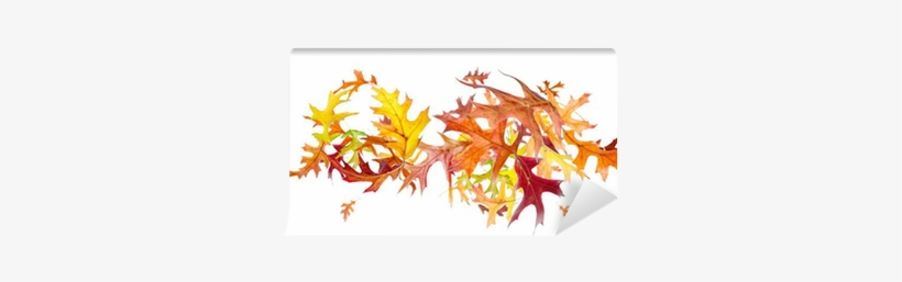 Flying And Spinning Autumn Leaves Isolated On White - Autumn, transparent png