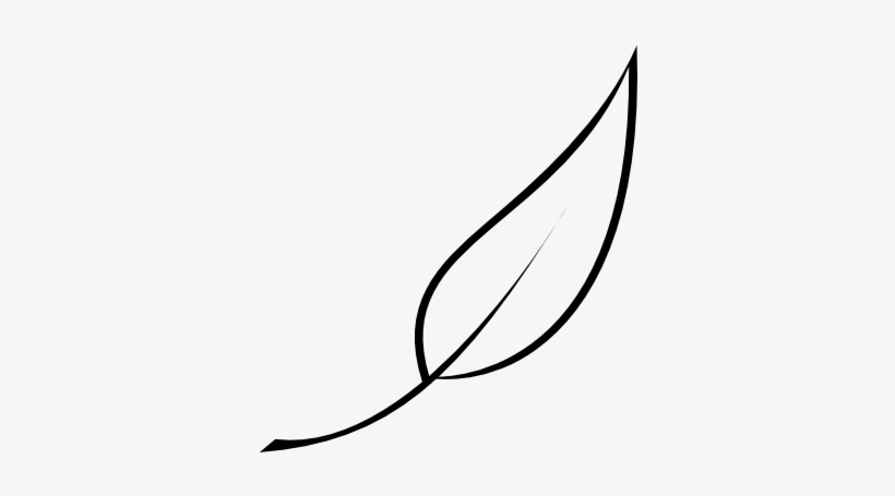 Leaf Logo Png White, transparent png
