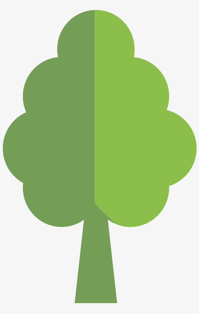 Shamrock, transparent png