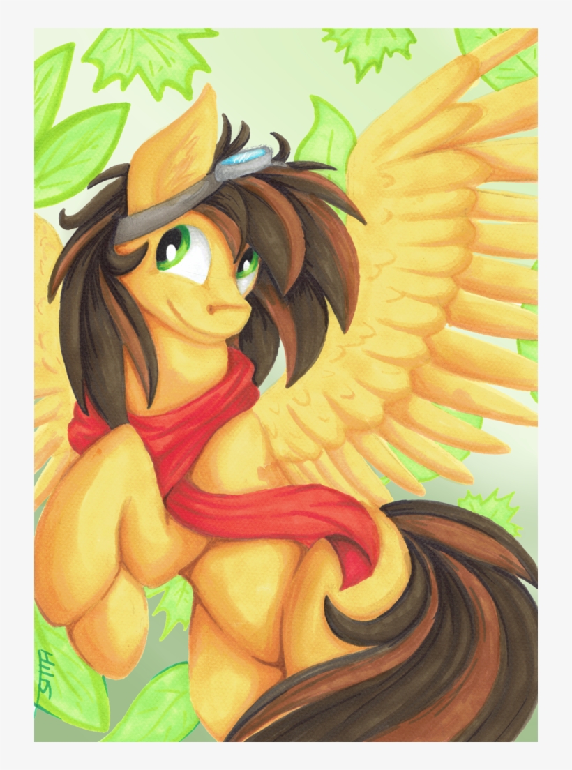Hilis, Clothes, Flying, Goggles, Leaves, Male, Marker, transparent png
