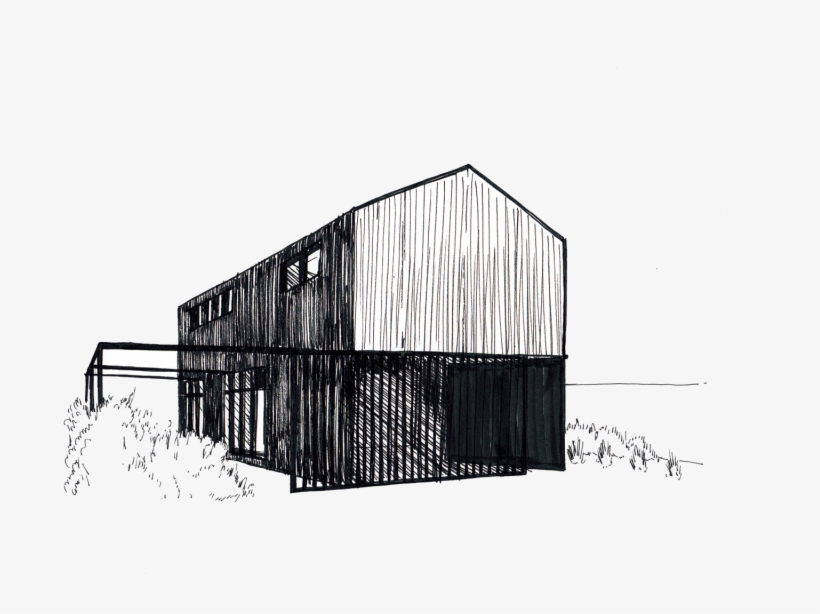 Beanstalk - Drawing, transparent png