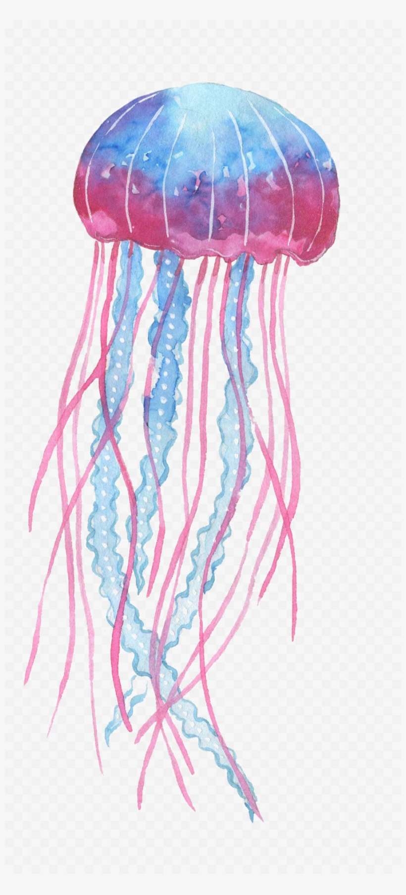 Box Jellyfish Png Transparent Image - Transparent Background Jellyfish Png, transparent png