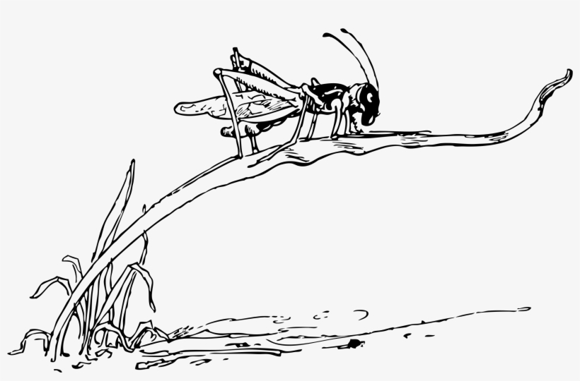 This Free Icons Png Design Of Grasshopper On Blade, transparent png