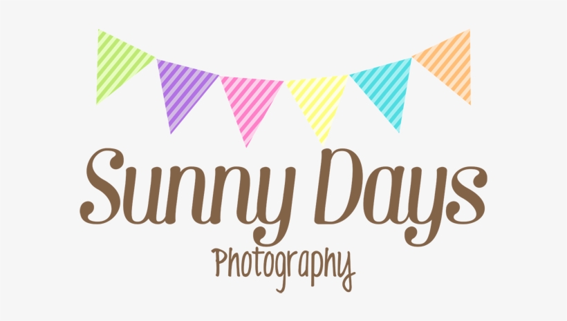 Picture - Bunting Logo, transparent png