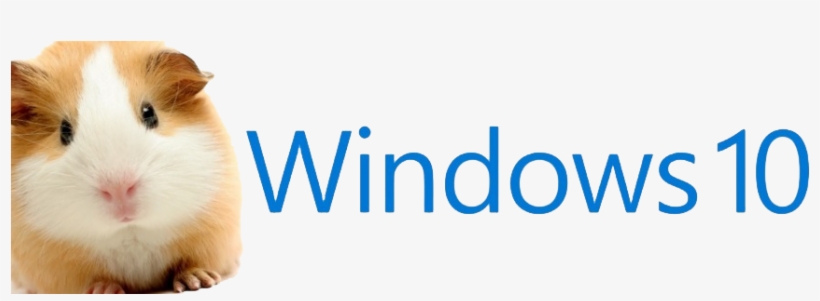 Upgrading To Windows - Feeding Your Guinea Pigs, transparent png