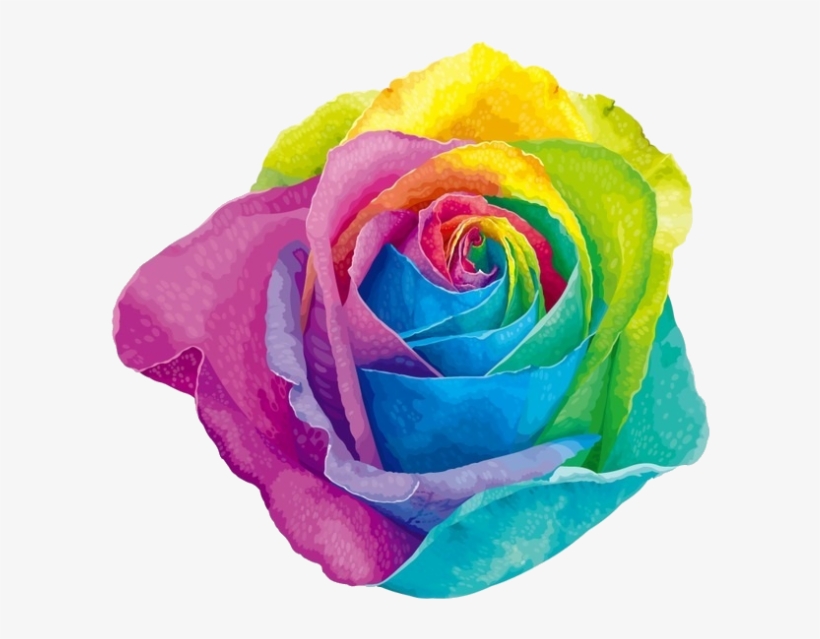 Instead - Colored Rose, transparent png