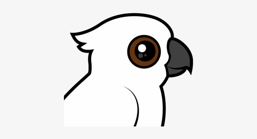 About The Umbrella Cockatoo - White Cockatoo, transparent png