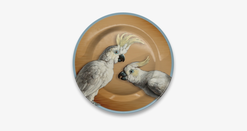 Cockatoo, transparent png