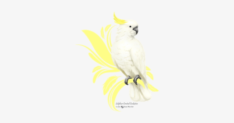 Cockatoo Com Crista Do Enxofre Camiseta, transparent png