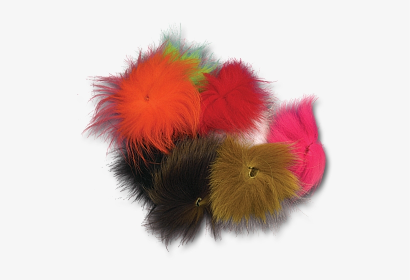 Arctic Fox - Caterpillar, transparent png