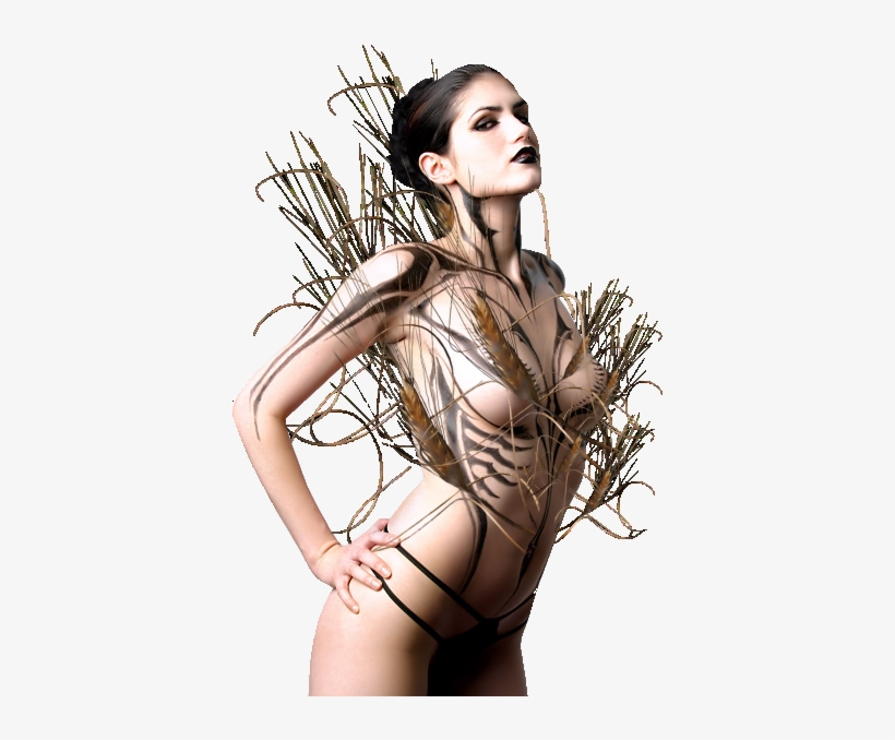 .net, transparent png