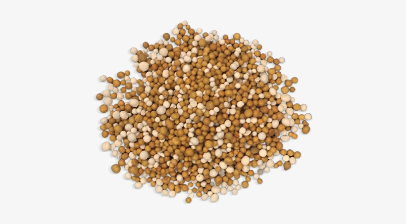 Plant Food - Coriander, transparent png