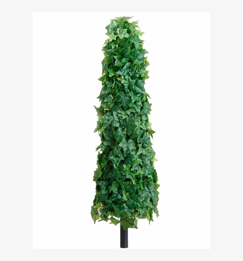 28" Ivy Leaf Cone Topiary On Stem Green - Topiary, transparent png