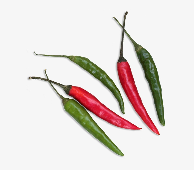 Diners With The Taste Of Real Thai Food, Preparing - Thai Food Ingredient Png, transparent png