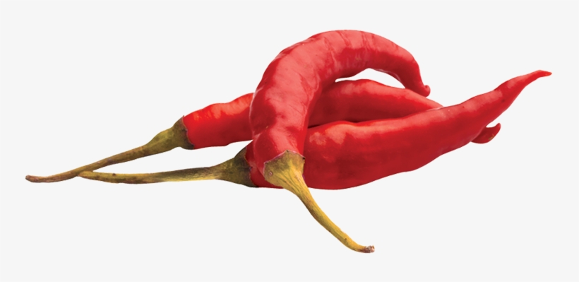 When It Comes To Cooking, Ingredients Are The First - Ingreadient Png, transparent png