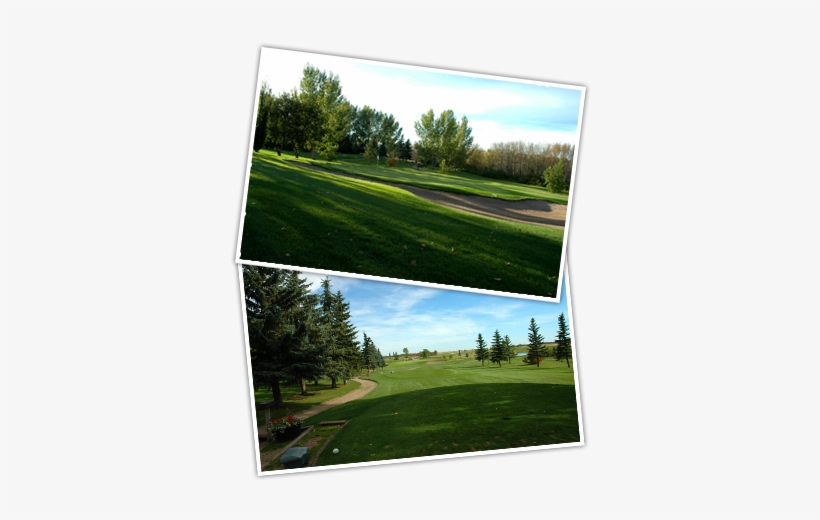 Golf Course - Park, transparent png