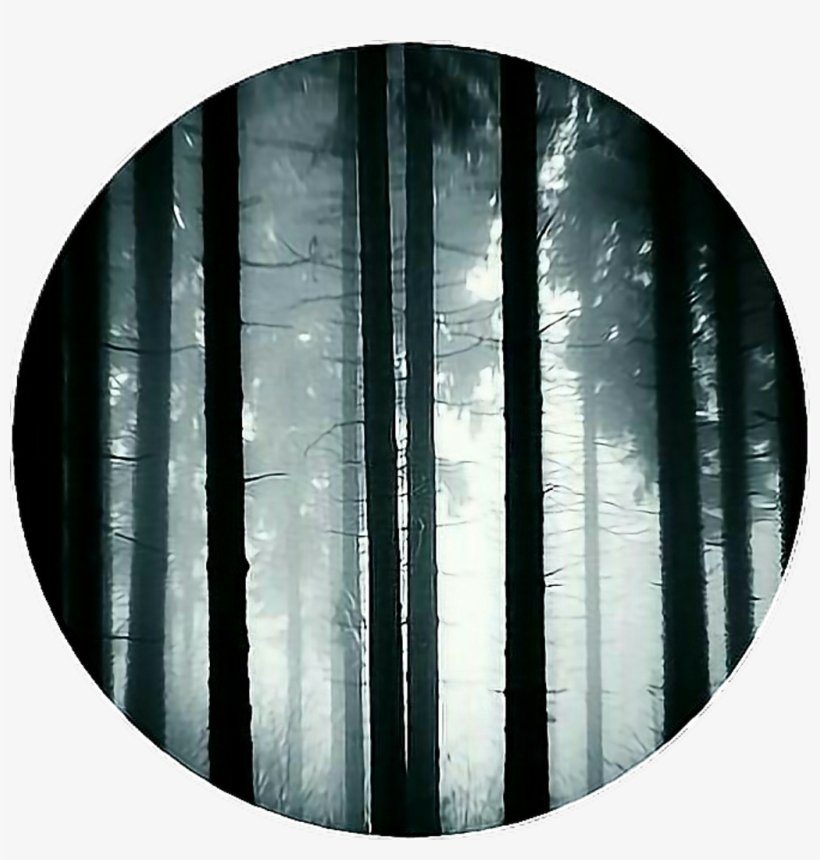 Circle Dark Forest Scary Icon Base Iconbackground - Dark Forest Icon, transparent png