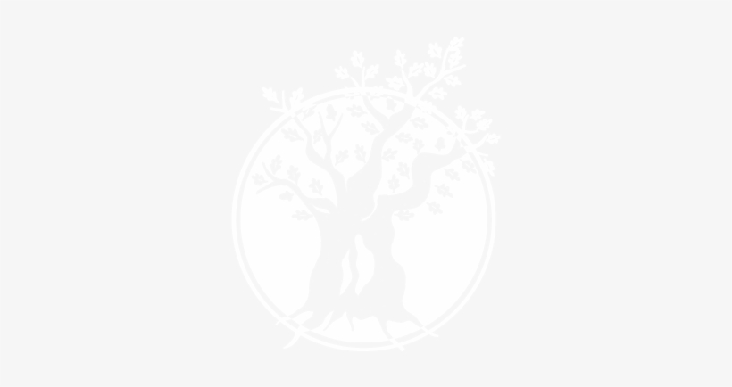 Logo Soc Media Transparent Dark Backgrounds Tree Only - Clifford Barton Holiday Cottages, transparent png