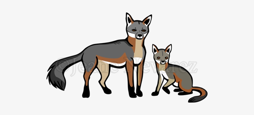 Gray Fox And Cub - Dibujos De Zorro Gris, transparent png