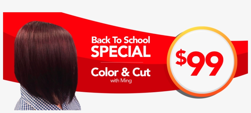 Promotions-carousel - Lace Wig, transparent png