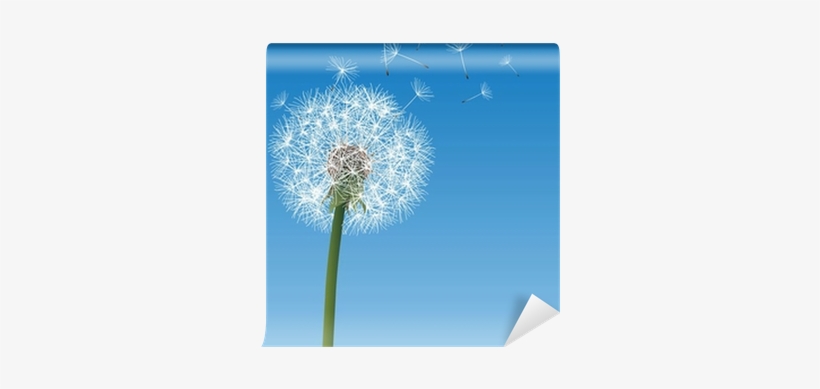 Vector Dandelion On Blue Wall Mural Pixers 174 We Live - Kilobyte, transparent png