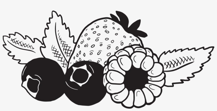 Looking For Other Ways To Enjoy Castello Cream Cheese, transparent png