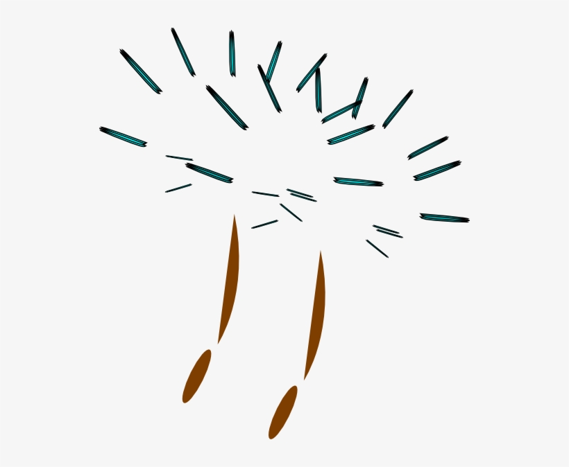 Seed, transparent png