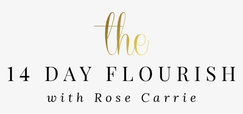 The 14 Day Flourish With Rose Carrie - Calligraphy, transparent png
