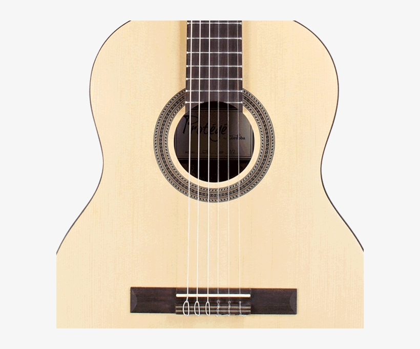 Cordoba Protégé Series C1m 1/2 Sized Classical Guitar - Cordoba Protege C1m - 3/4 Size (prot Guitar, transparent png