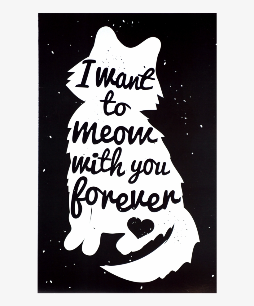 Meow With You, transparent png