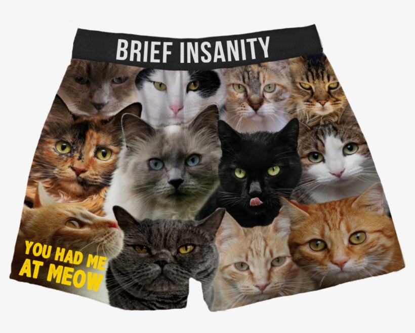Cats Boxer Shorts You Had Me At Meow - Cat Boxers, transparent png