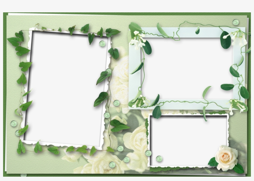 This Graphics Is Lace Border About Vector, Border, - 相 框, transparent png