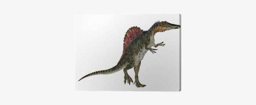 Spinosaurus, transparent png