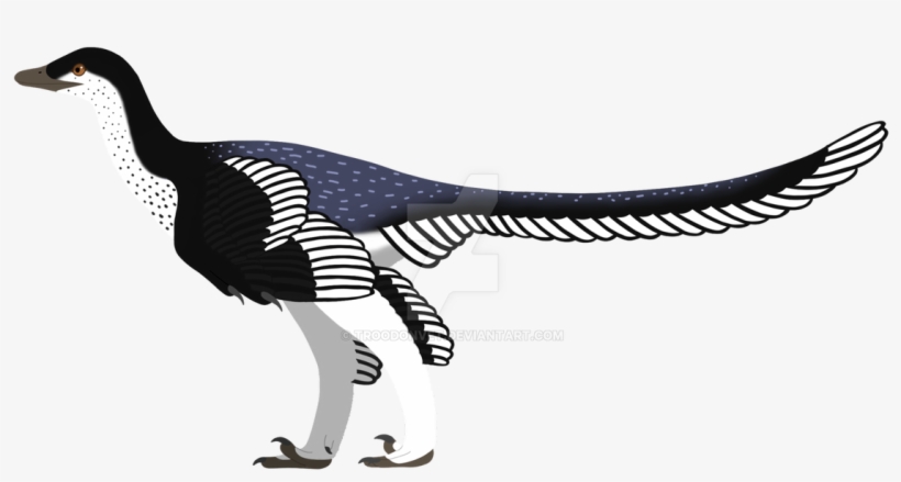 Spinosaurus Aegypticaus - Archaeopteryx, transparent png