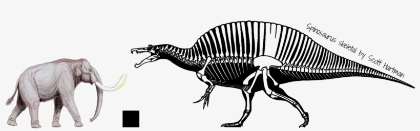 Full Sized Version<br /><br />mammuthus Trogontherii - Songhua River Mammoth Vs Spino, transparent png