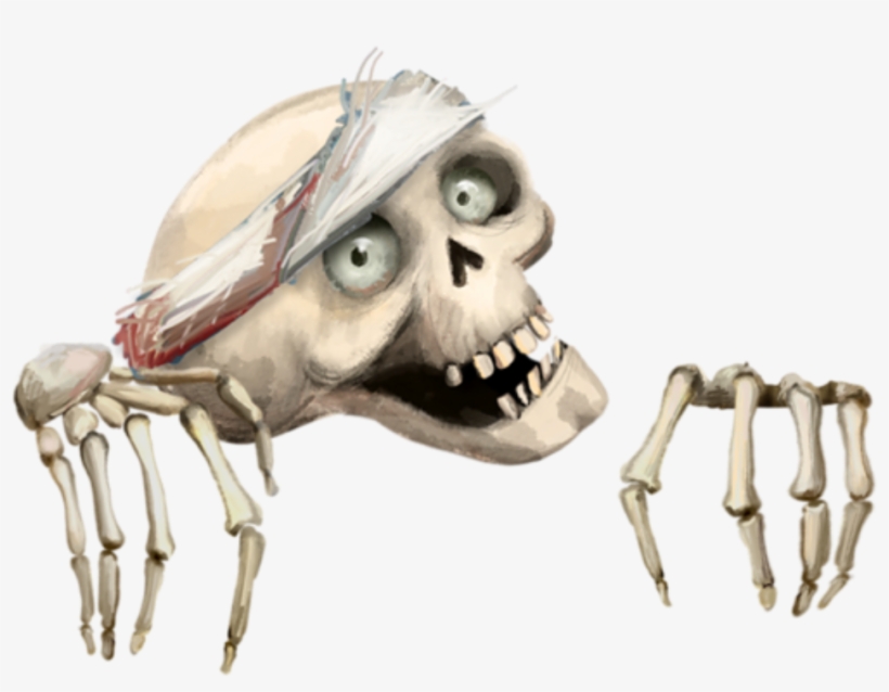 Skeleton Skull Hands Halloween Freetoedit - Skull, transparent png