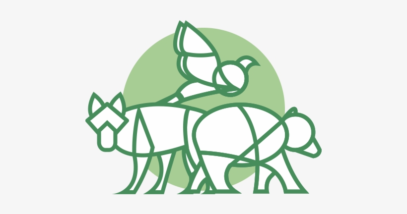 Red Deer River Archive - Wildlife Conservation Icon, transparent png