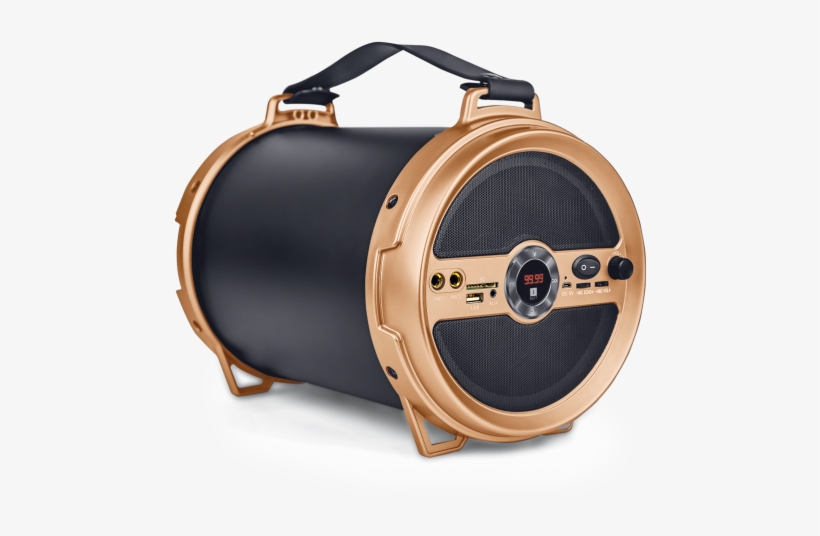 iball karaoke speaker