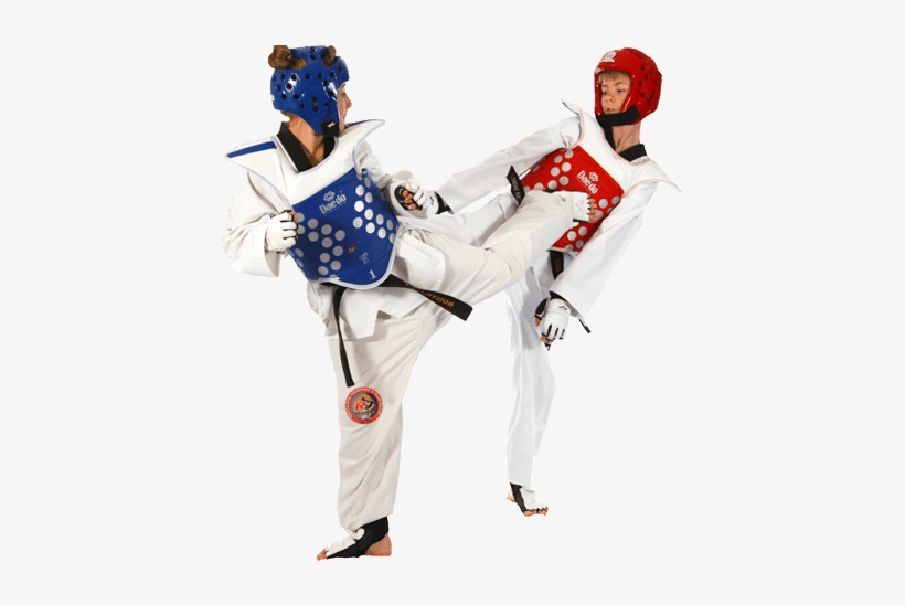 Champions At Life - Taekwondo Player Png, transparent png