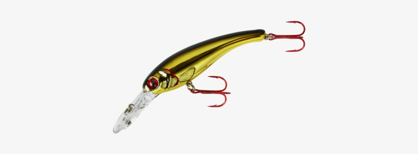 Lindy Wally Demon Lwd, transparent png