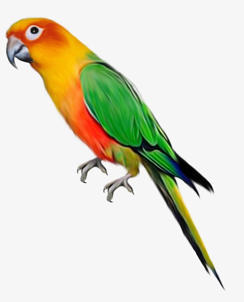 Read This Book On Giflingua - Parrot Png, transparent png