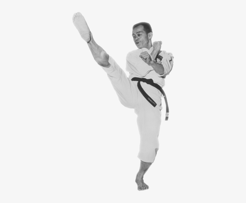 The Jhoon Rhee Institute Of Tae Kwon Do Offers One - Jhoon Rhee Tae Kwon Do, transparent png