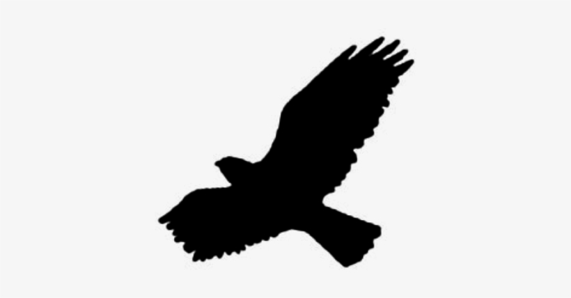 Como Brushes Para Photoscape Desde Aquí Mismo, Con - Birds, transparent png