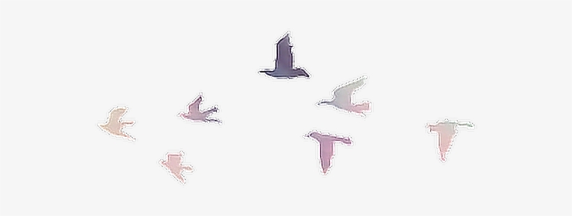 Report Abuse - Pajaros Tumblr Png, transparent png